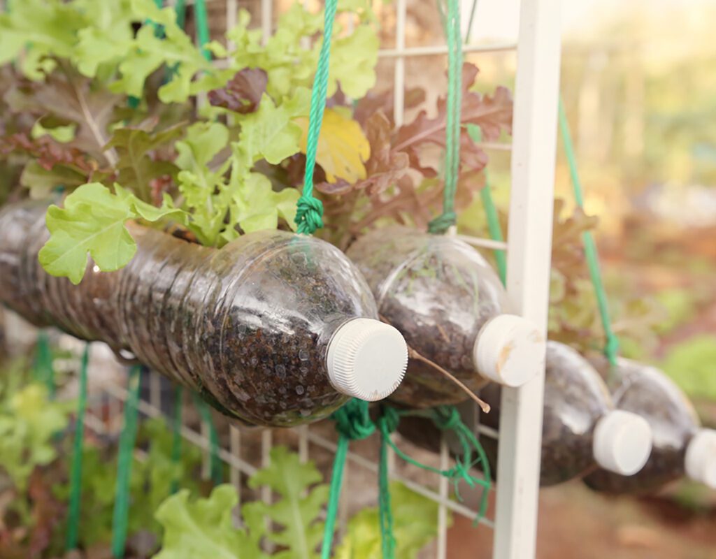 giardini verticali con bottiglie di plastica